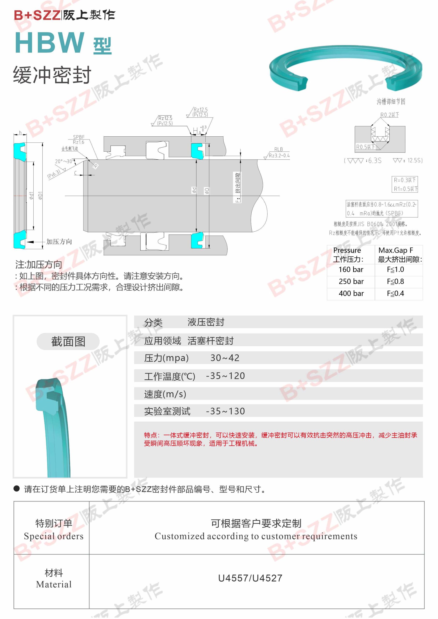 HBW piston rod seal插图