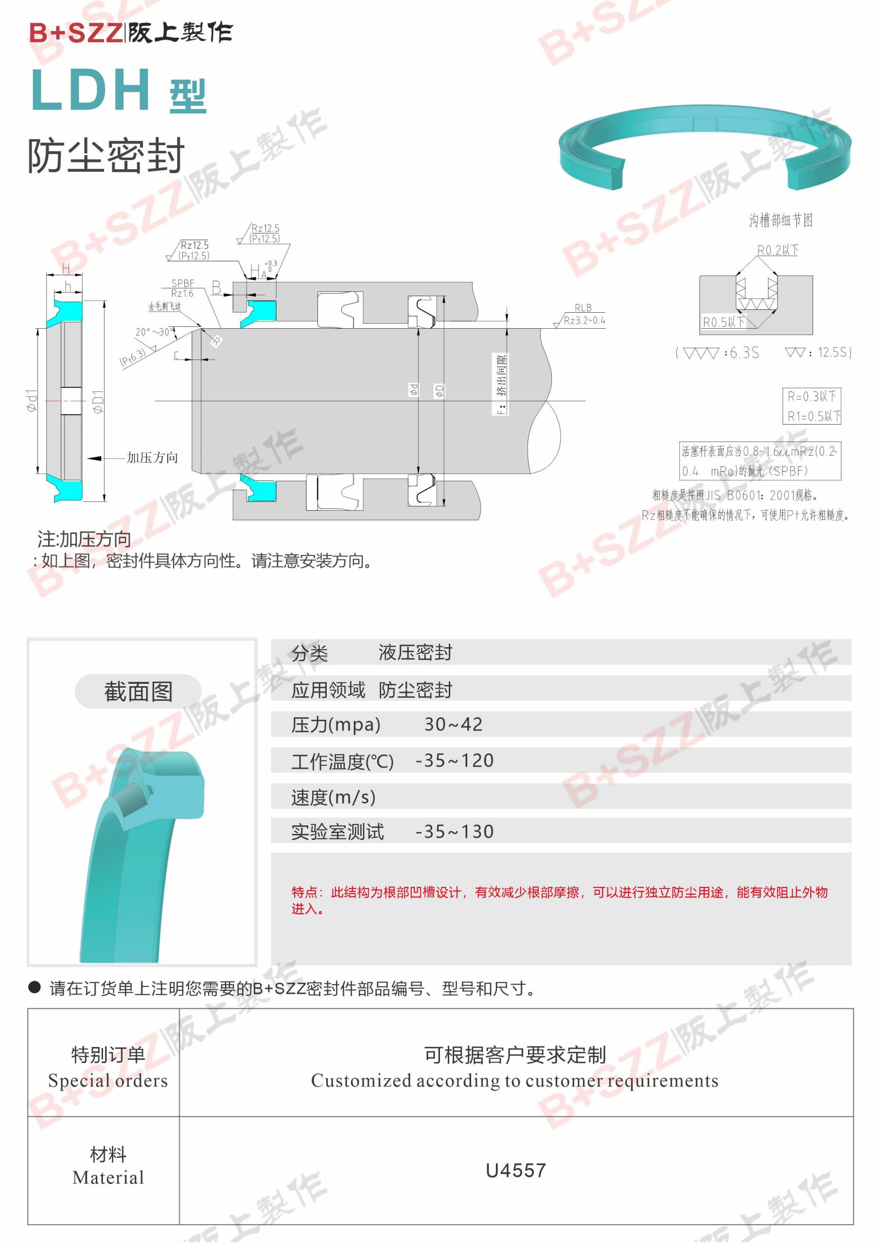 LDH main oil seal piston rod插图