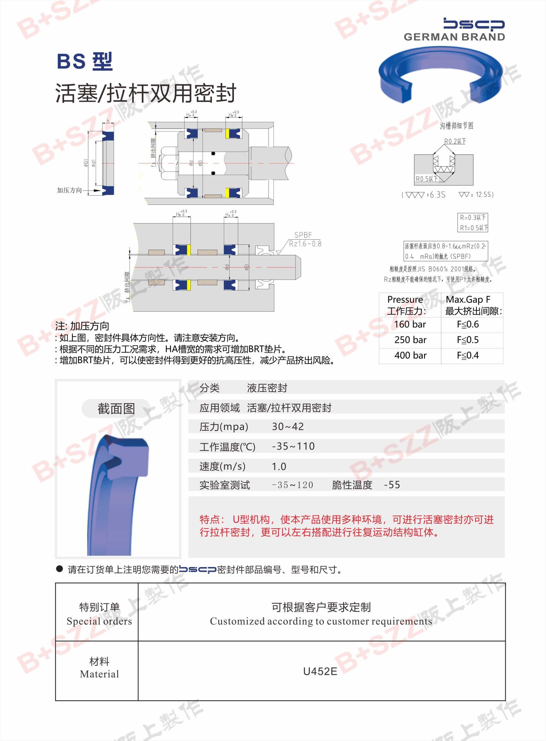 BS Dual-Purpose Seals插图