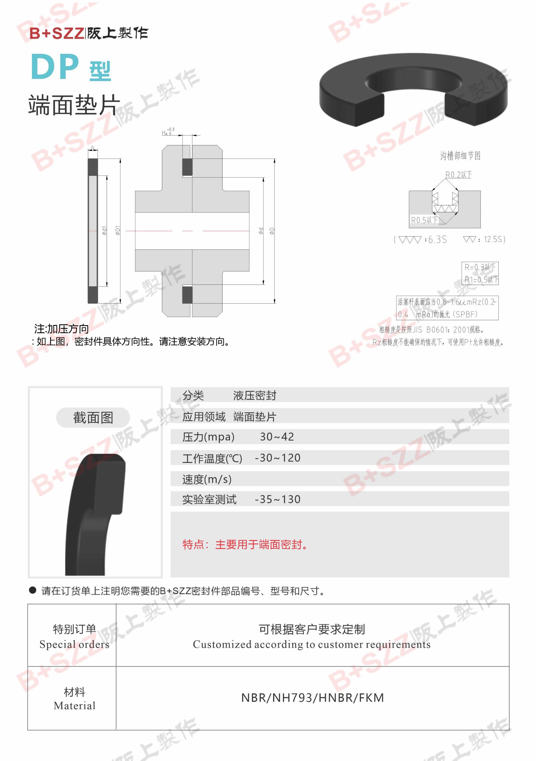 DP-Type Face Gasket插图