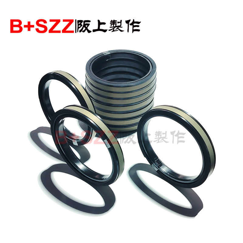 SPGW sealing ring