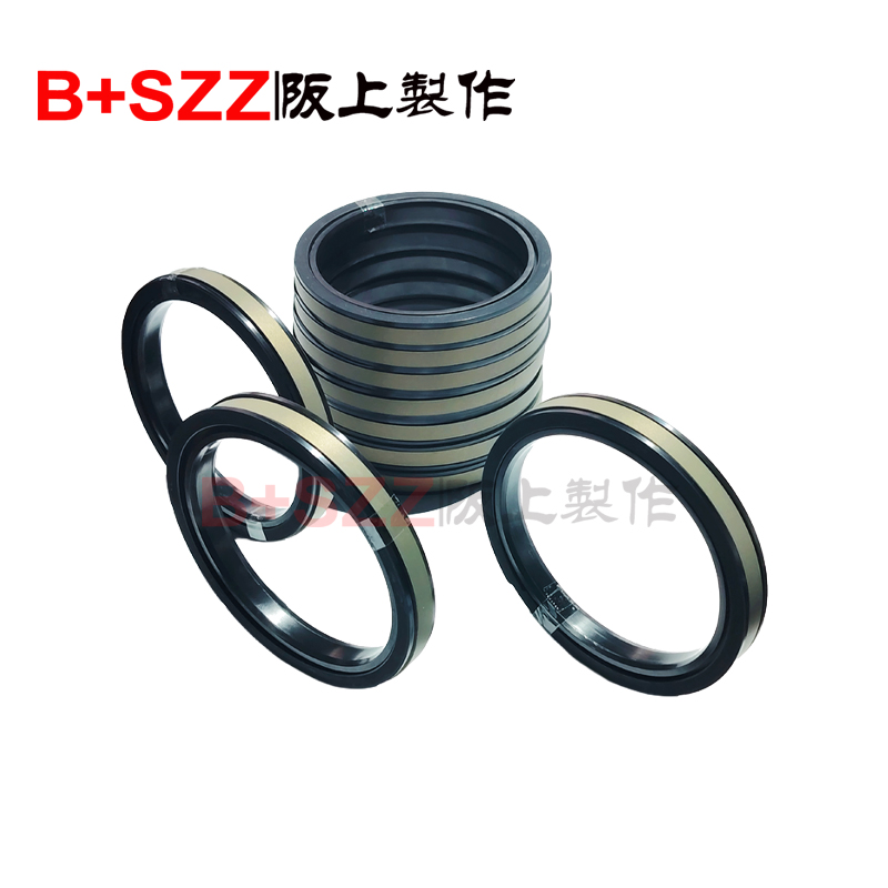 SPGW-Type Piston Rod Seal