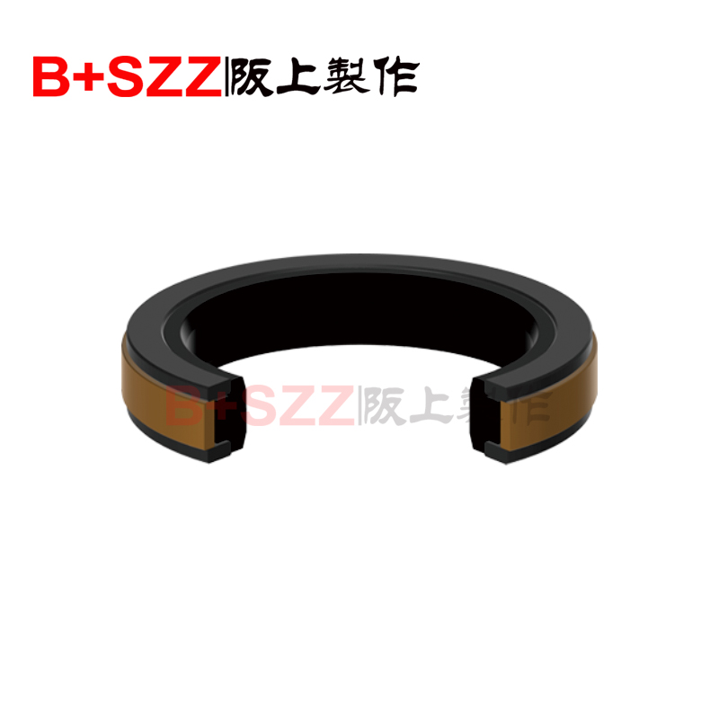 SPGW Piston Seal – Two-Way Sealing, One Superior Design