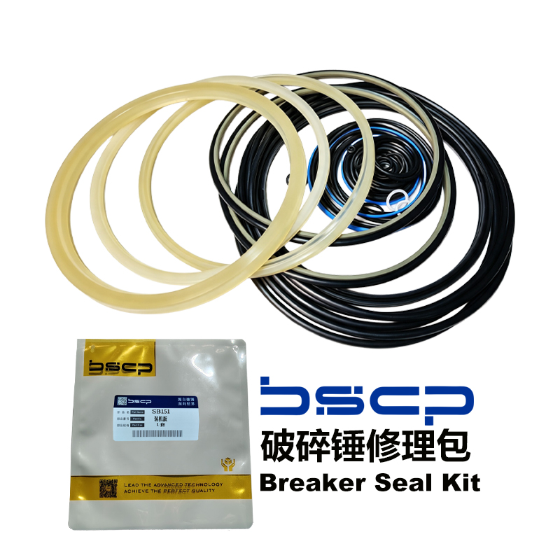 BSCP Breaker Seal Kit